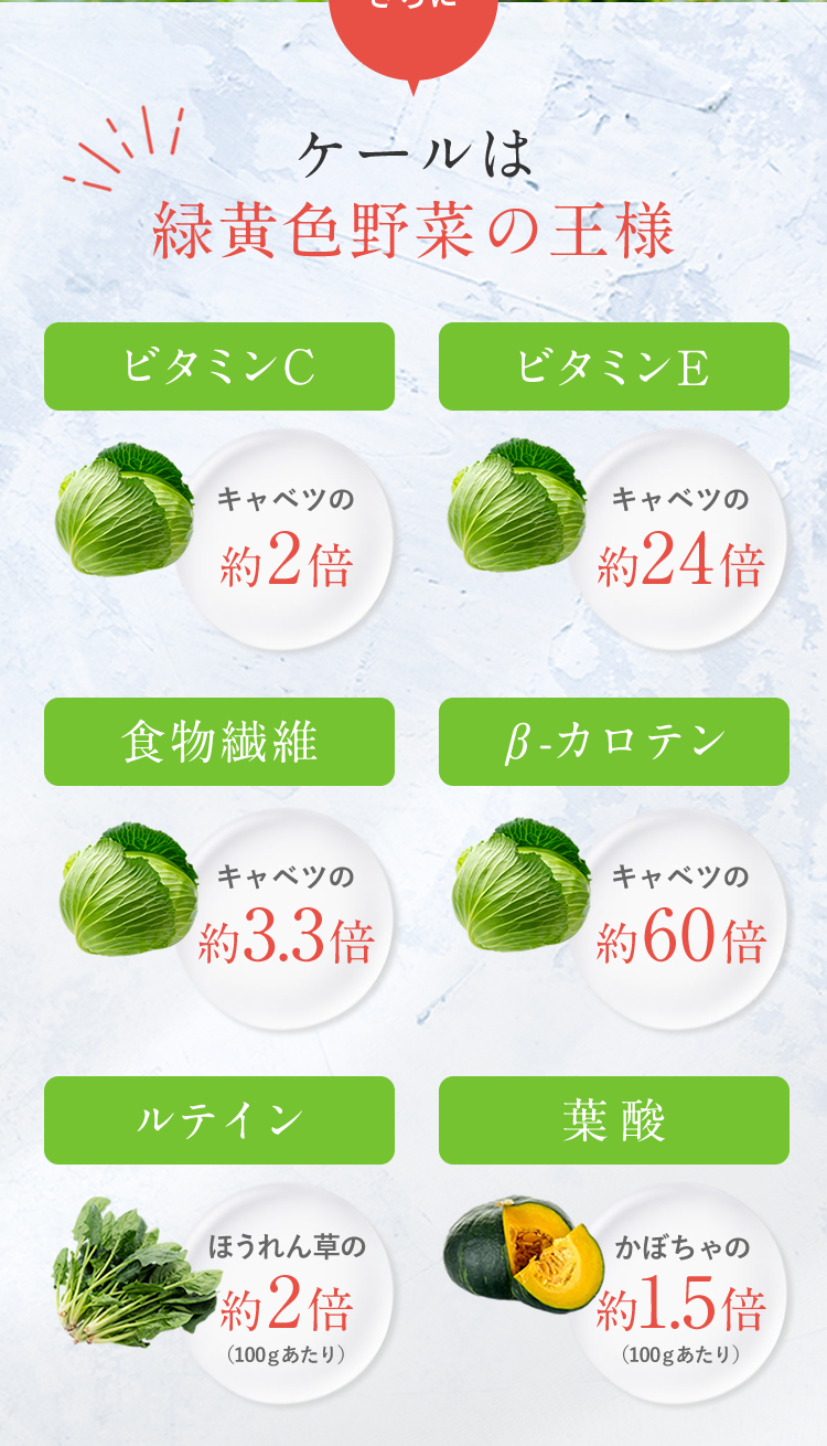 ケールは野菜の王様