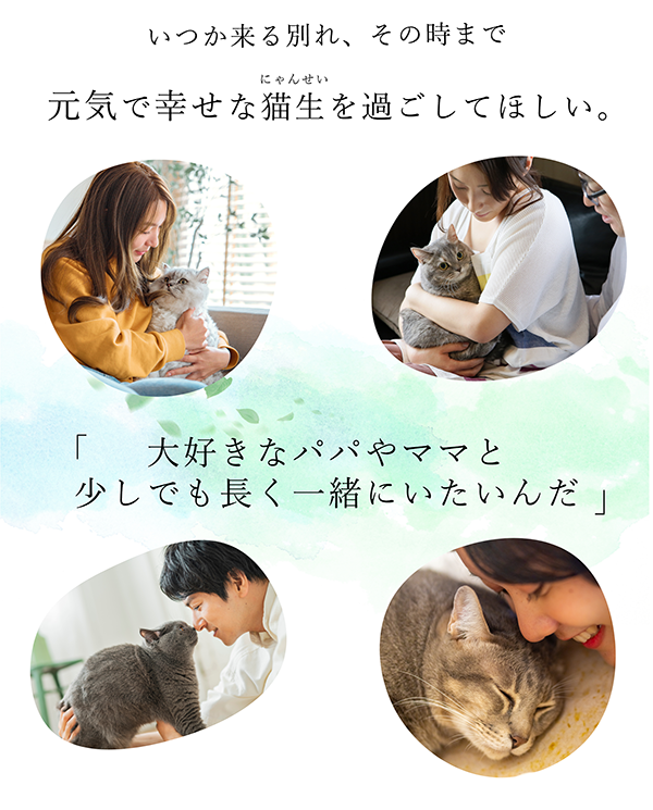 にゃんぽう