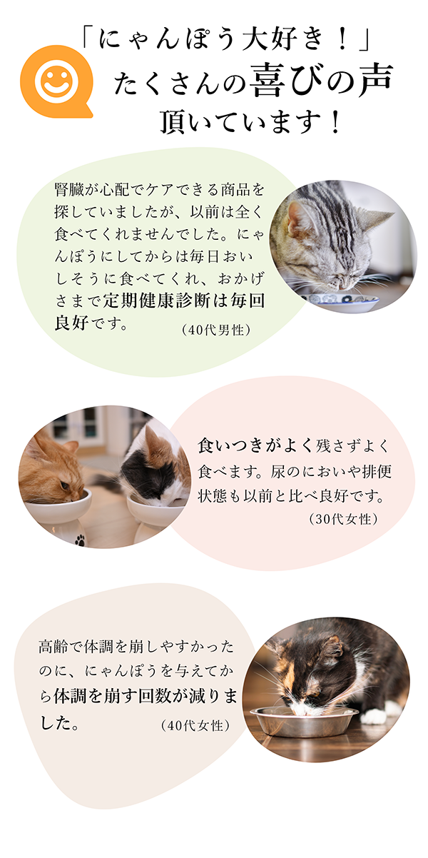 にゃんぽう