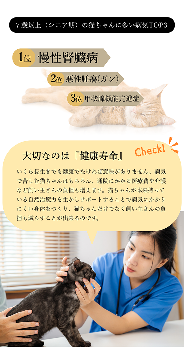 にゃんぽう