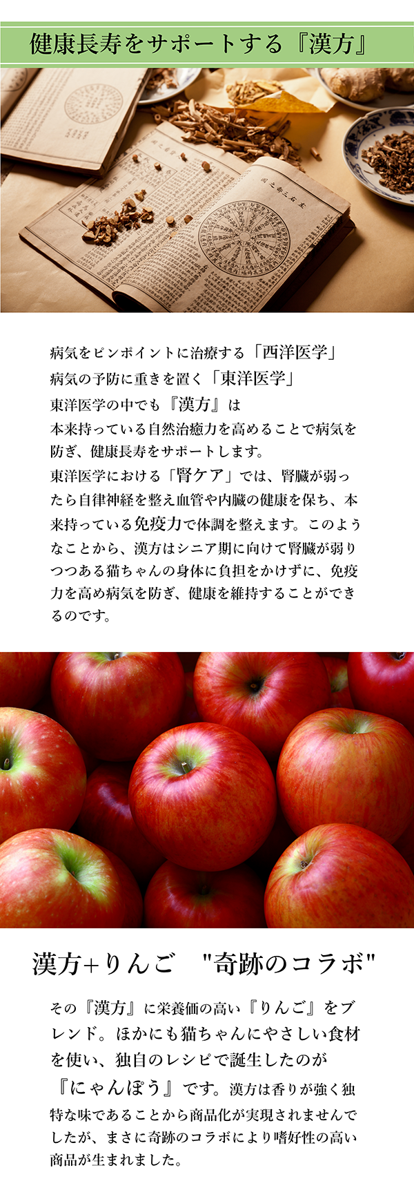 にゃんぽう