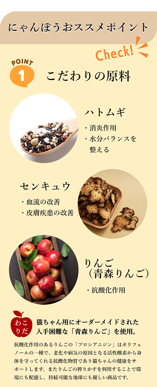 にゃんぽう