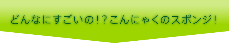 どんなにすごいの！？こんにゃくのスポンジ！