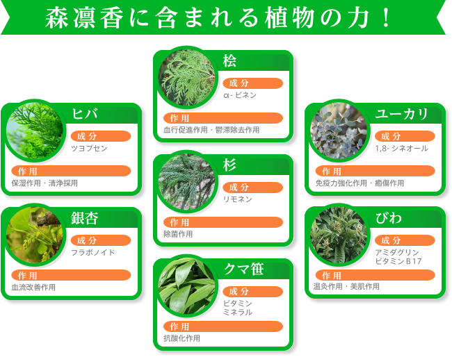 森凛香に含まれる植物の力！