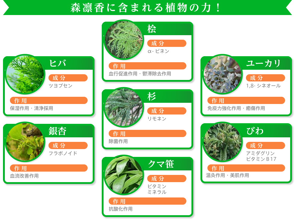 森凛香に含まれる植物の力！